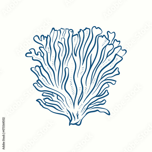 Seaweeds silhouettes. Underwater coral reef, hand drawn sea kelp plant, isolated marine weeds outdoor ocean.