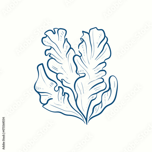 Seaweeds silhouettes. Underwater coral reef, hand drawn sea kelp plant, isolated marine weeds outdoor ocean.