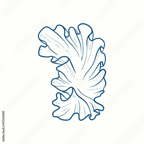 Seaweeds silhouettes. Underwater coral reef, hand drawn sea kelp plant, isolated marine weeds outdoor ocean.