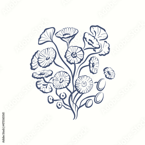 Seaweeds silhouettes. Underwater coral reef, hand drawn sea kelp plant, isolated marine weeds outdoor ocean.