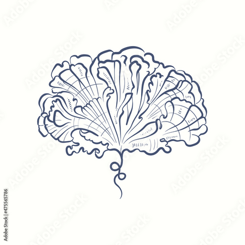 Seaweeds silhouettes. Underwater coral reef, hand drawn sea kelp plant, isolated marine weeds outdoor ocean.