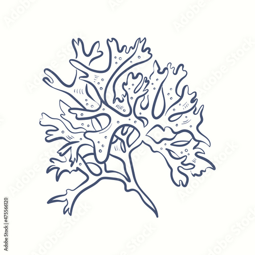 Seaweeds silhouettes. Underwater coral reef, hand drawn sea kelp plant, isolated marine weeds outdoor ocean.