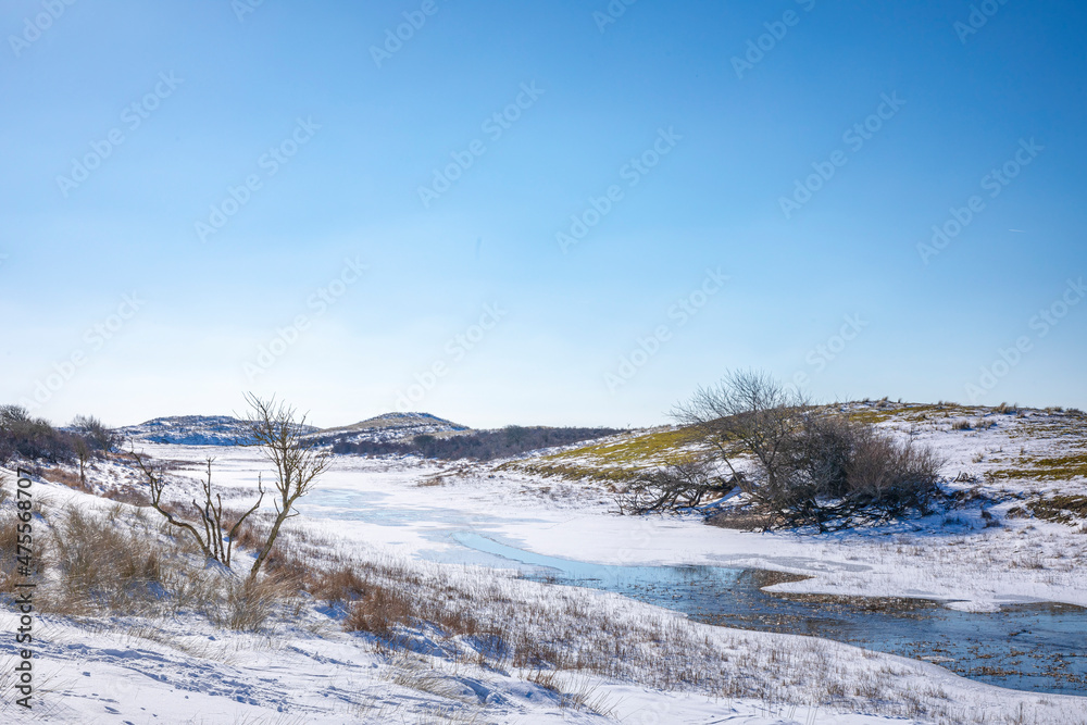 Snowy and ice winter landscape at the Amsterdamse Waterleidingduinen