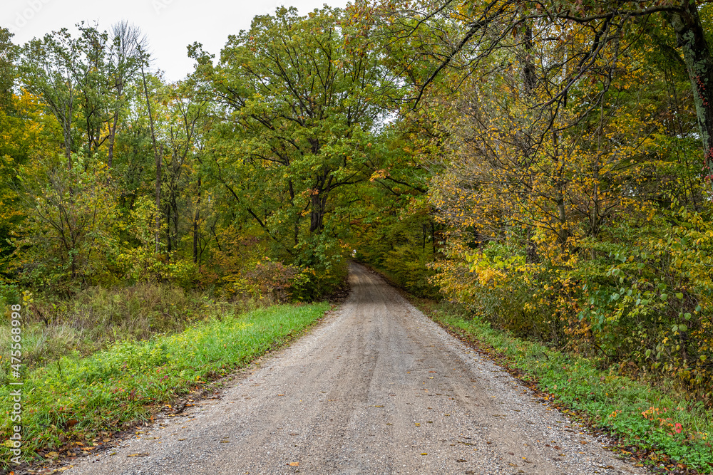 Indiana Dirt Road Indiana Dirt Road