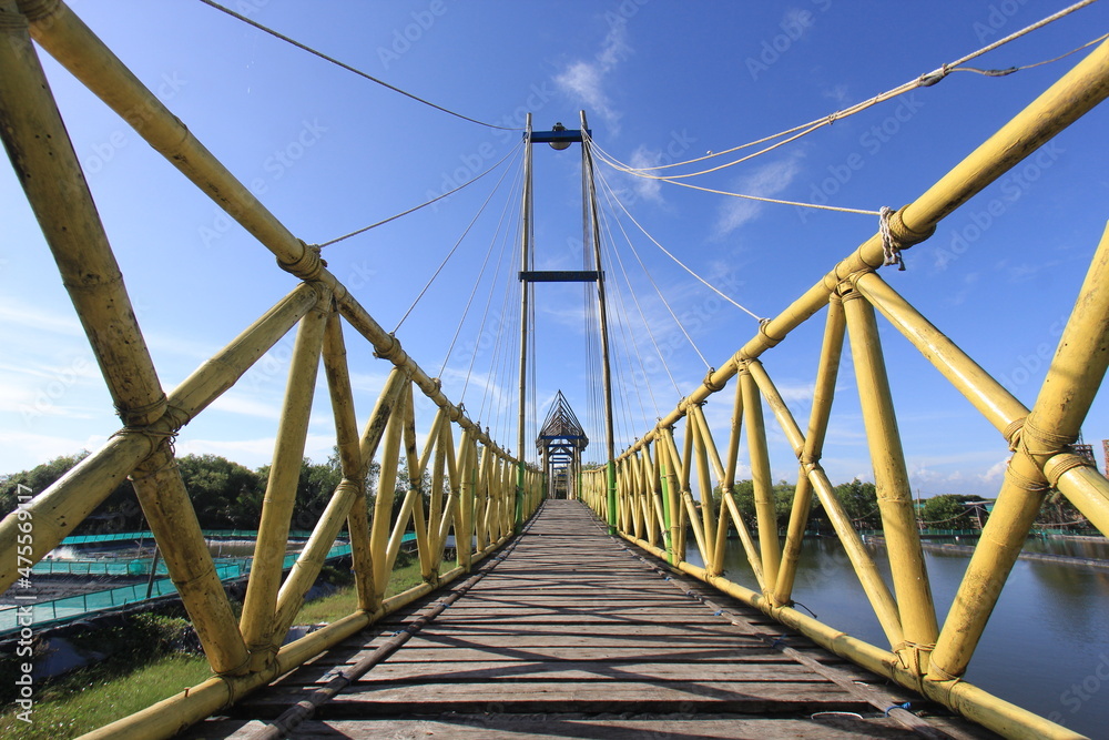 Bamboo bridge in the mangrove forest area. Bamboo bridge in the mangrove forest area.