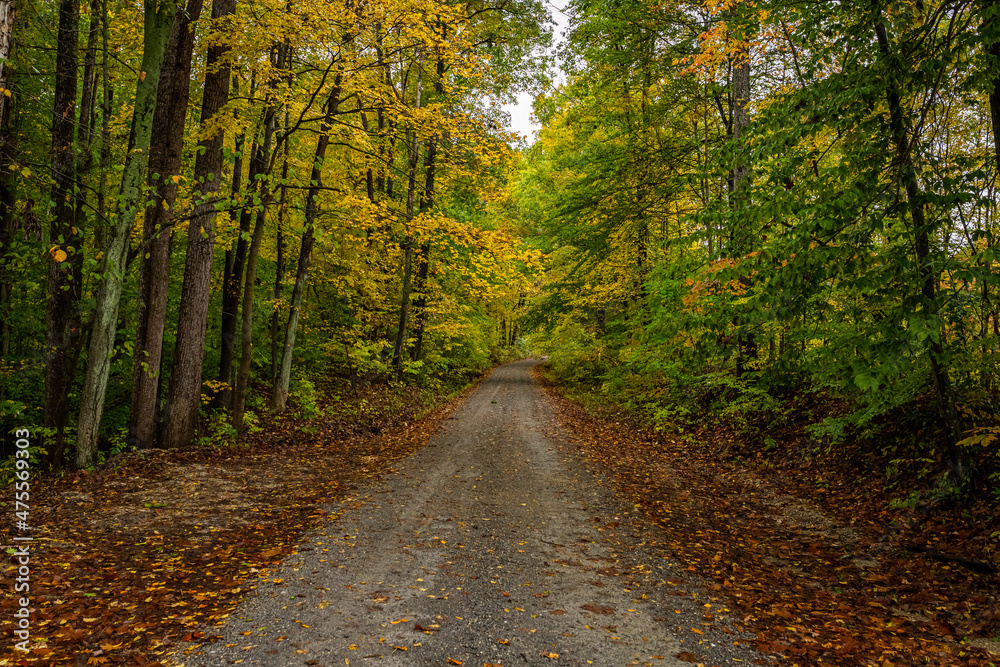 Indiana Dirt Road Indiana Dirt Road