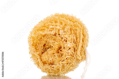 One shower sponge made of loofah, close-up, isolated on white.
