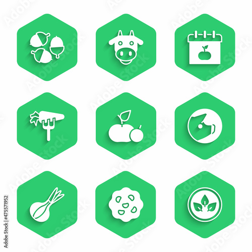 Set Apple, Cookie or biscuit, Vegan food diet, Pig, Onion, Carrot, World Vegetarian day and Acorn icon. Vector
