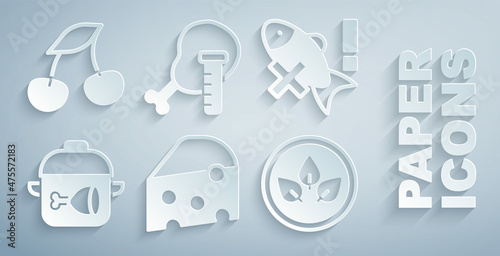 Set Cheese, No fish, Cooking pot and chicken leg, Vegan food diet, Genetically modified and Fresh berries icon. Vector