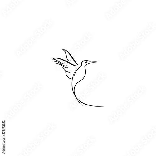Hummingbird vector logo design. Bird vector logo design.