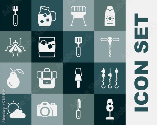 Set Wine glass, Grilled shish kebab on skewer, corkscrew, Barbecue grill, Glass of whiskey with ice, Mosquito, Fork and Spatula icon. Vector