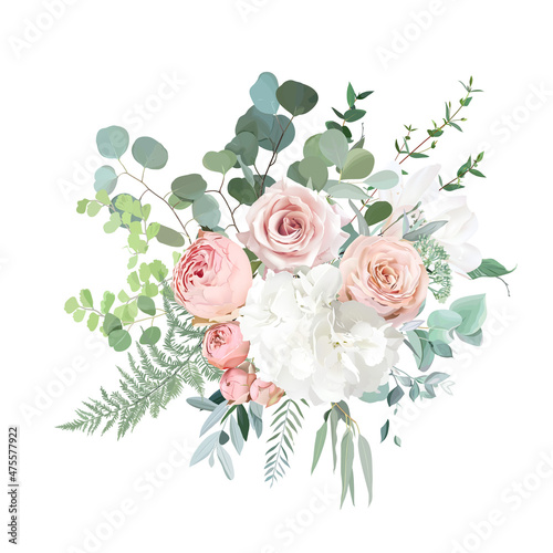 Blush pink garden roses, ranunculus, hydrangea flowers vector design bouquet Fototapete
