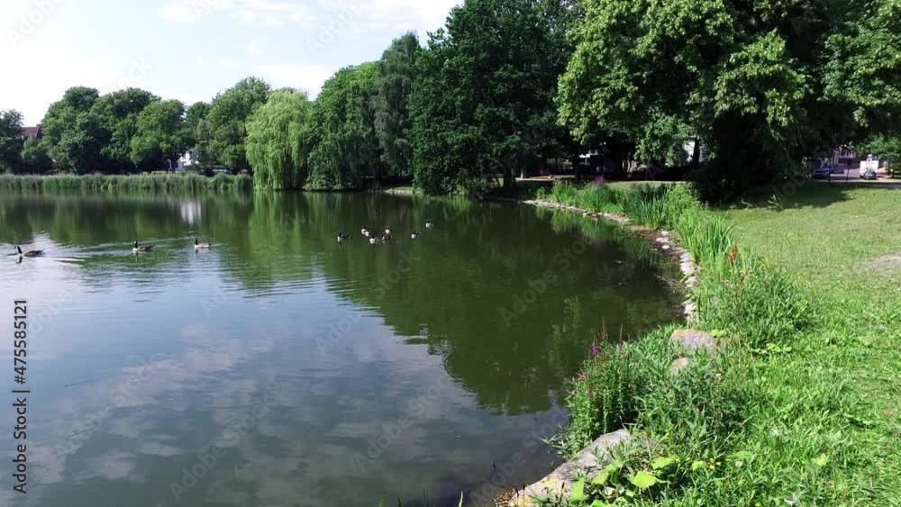 Ducks in the park lake in Kiel, Germany Ducks in the park lake in Kiel, Germany