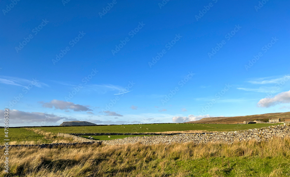 Late autumn day landscape, with dry stone walls, farms, and the Pen-y-ghent peak, in the distance near, Settle, UK