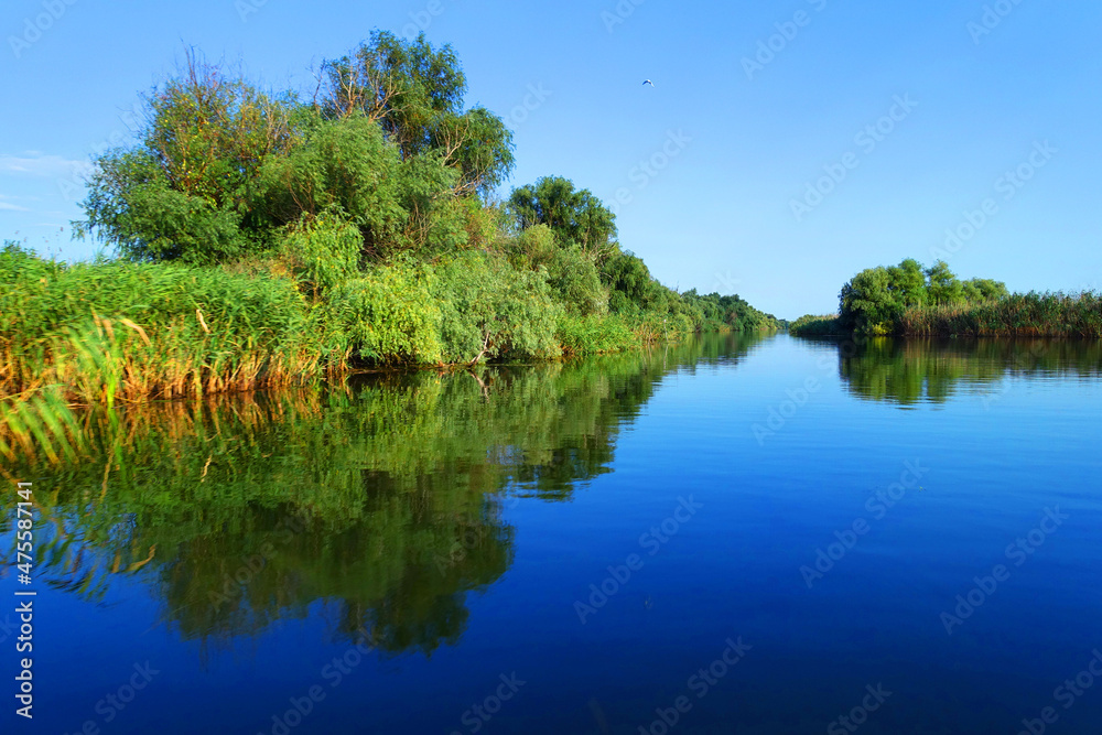 Fototapeta premium Boat trip in Danube Delta. Plants specific to the wetlands of Danube Delta in Romania, Biosphere Reserve, Europe 
