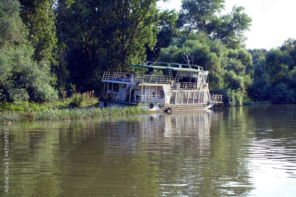 Boat trip in Danube Delta. Plants specific to the wetlands of Danube Delta in Romania, Biosphere Reserve, Europe 