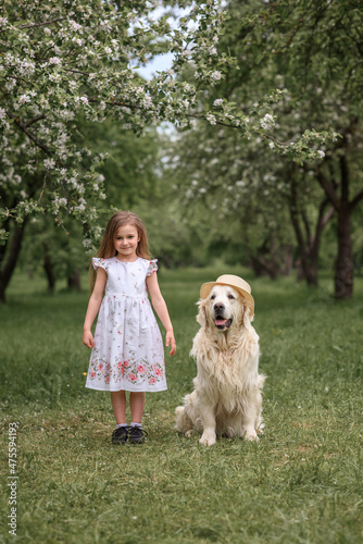 girl in a white dress and a straw hat in a blooming garden with a dog Golden Retriever Labrador