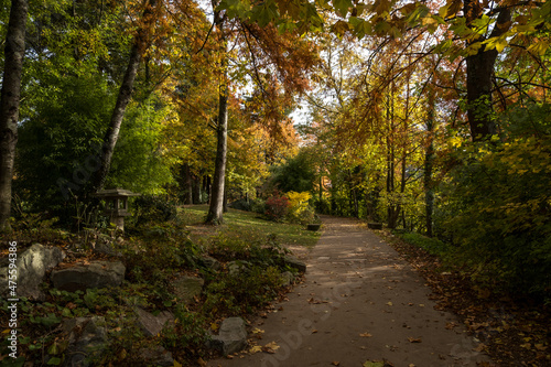 Jardin japonais de l'île de Versailles à Nantes photo