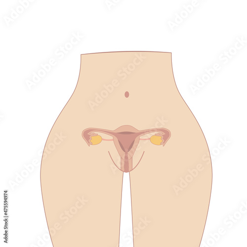 Obraz na płótnie Female reproductive system, Cute cartoon uterus w salonie