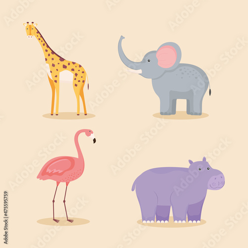 exotic animals group © Gstudio
