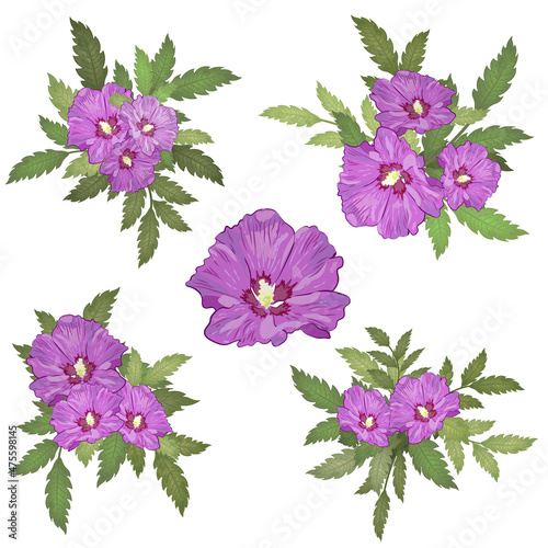 Set of bouquets with purple hibiscus and leaves photo