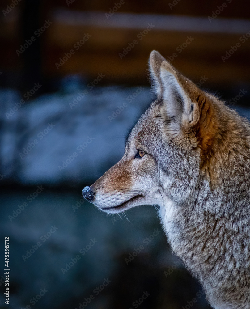 Fototapeta premium Impression of grandeur