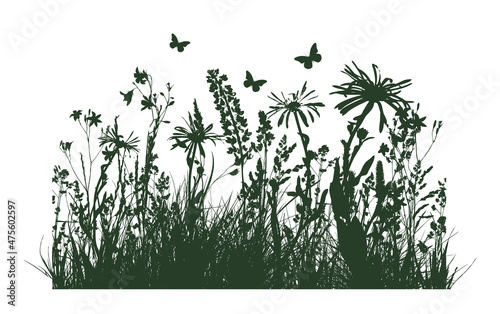 Silhouette of green grass with flowers. Vector illustration