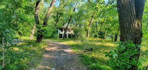 an abandoned house in the woods