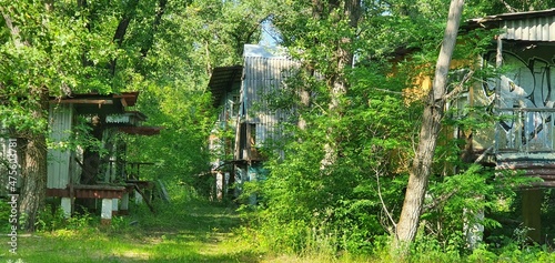 an abandoned house in the woods