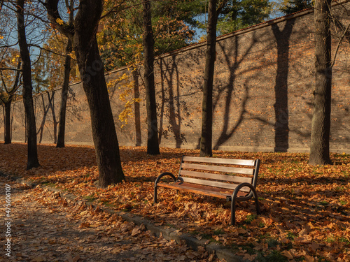 Klimatyczna ławka w jesiennym parku