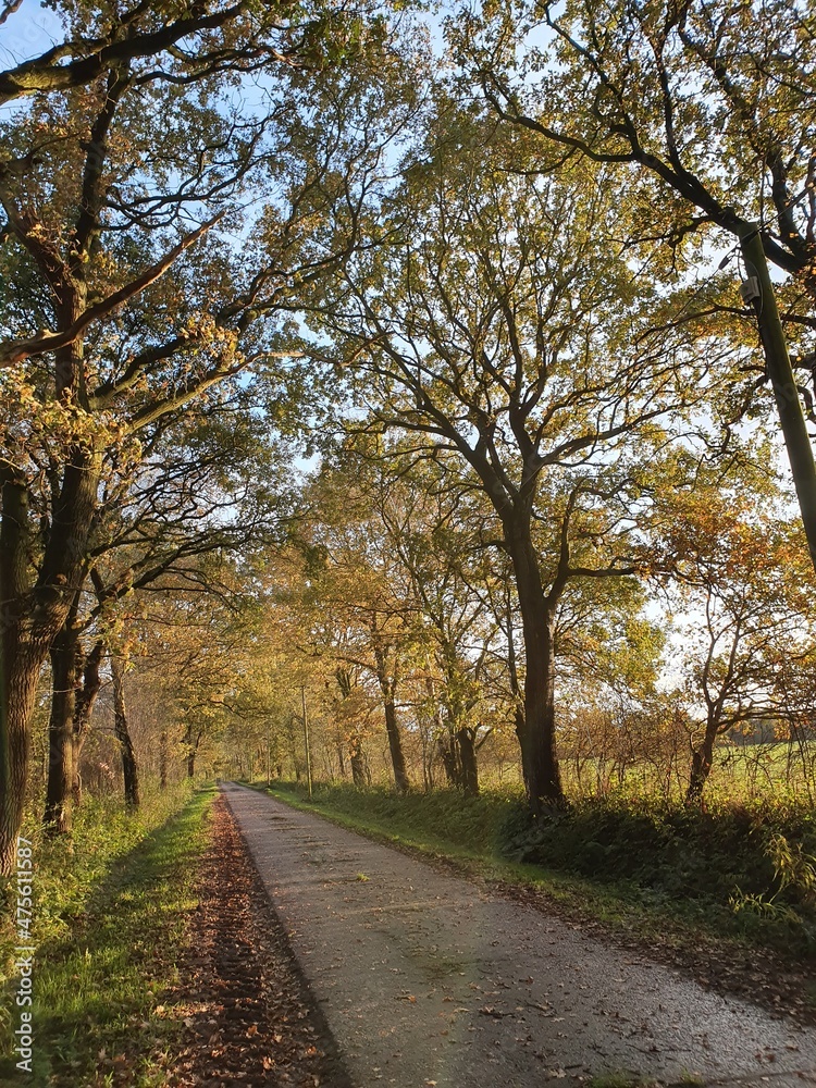 Herbstlicher Weg