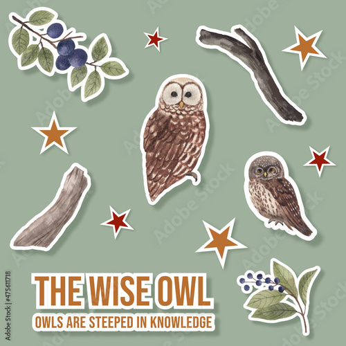 Sticker template with owl bird concept,watercolor style photo