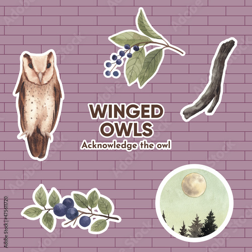 Sticker template with owl bird concept,watercolor style photo