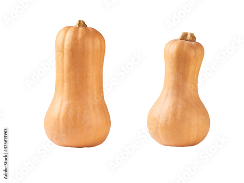 Fresh butternut squash isolated on a white background.