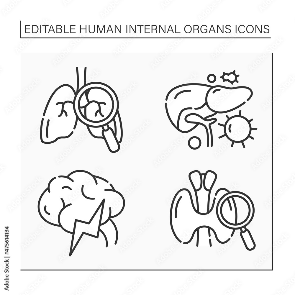 Human internal organs line icons set. Lungs and thyroid examination, brain, liver. Prevention of diseases. Health concept.Isolated vector illustration.Editable stroke Human internal organs line icons set. Lungs and thyroid examination, brain, liver. Prevention of diseases. Health concept.Isolated vector illustration.Editable stroke