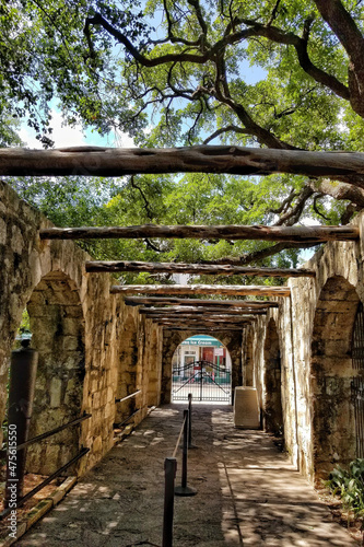 Beautiful green trees over the walkway of Fort Alamo on a sunny day in San Antonio