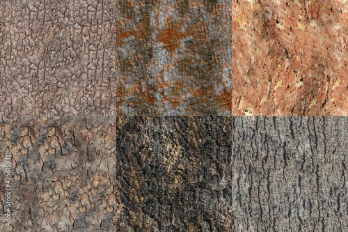 Pack of 6 High Quality Bark Seamless 4K Textures for editing, compositing, backdrops or material development.