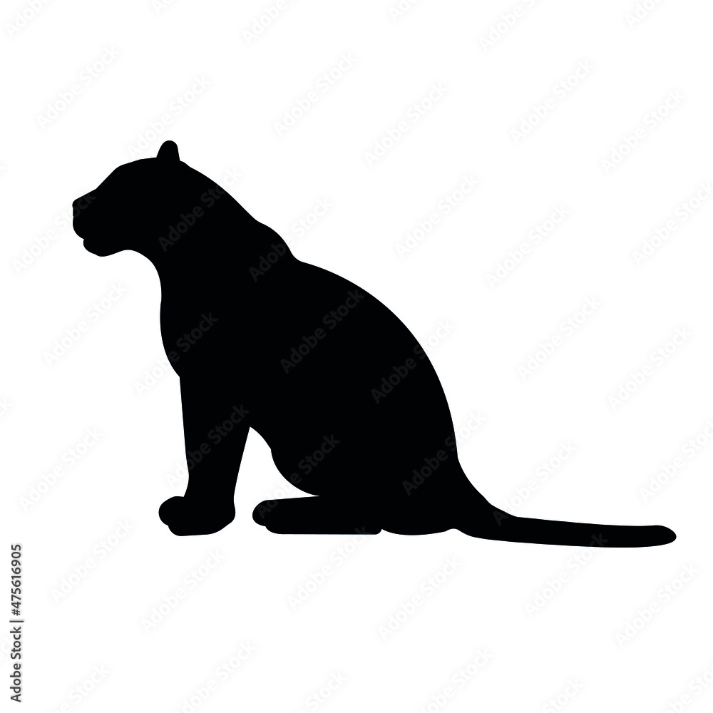 Vector flat sitting tiger silhouette isolated on white background