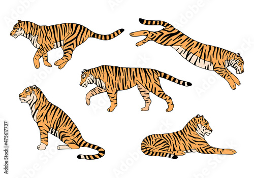 Vector set of hand drawn doodle sketch colored tigers isolated on white background