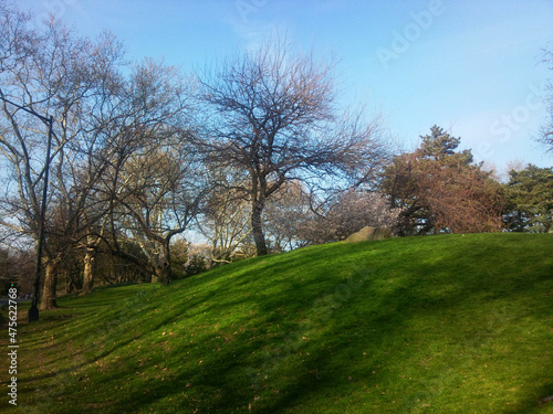 Lakes and Open Fields photo