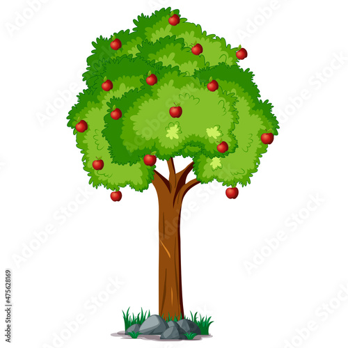 Apple tree on white background