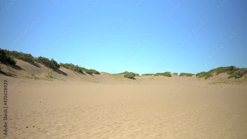 Panoramic view of the desert and clear blue sky. Green bushes on sand in drought. Panoramic view of the desert and clear blue sky. Green bushes on sand in drought.