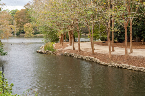 Scenic view of the Swan Lake Iris Gardens park in Sumter, South Carolina photo
