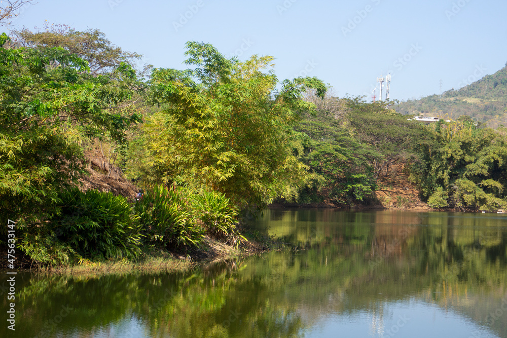 Landscape of green areas with lake in the morning. Horizontal photo.