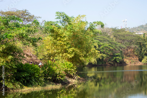 Landscape of green areas with lake in the morning. Horizontal photo.