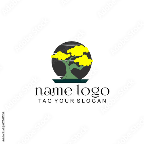 vector illustration of a bonsai logo. modern bonsai tree logo