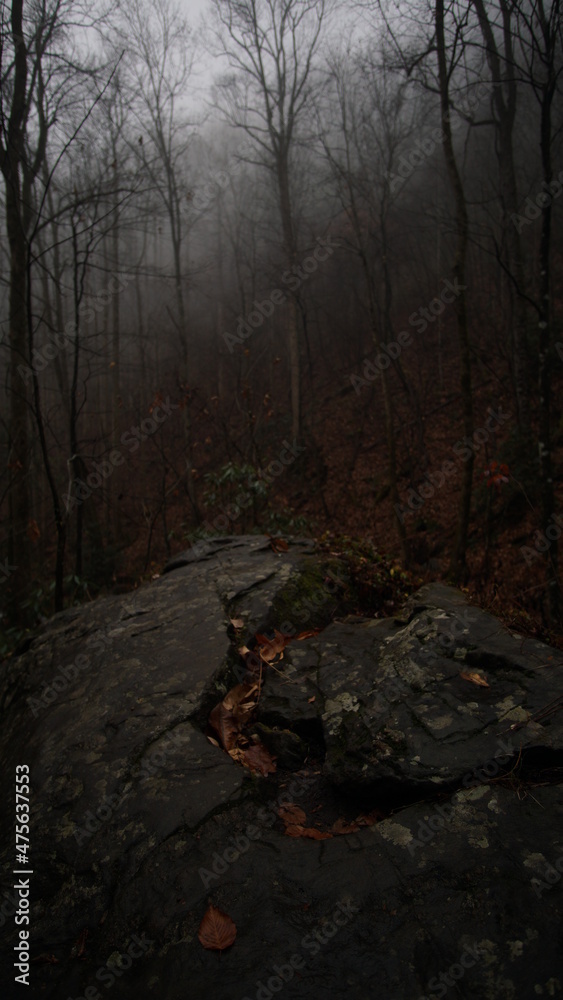 Rock center in the middle of the foggy woods along a hiking trail Rock center in the middle of the foggy woods along a hiking trail