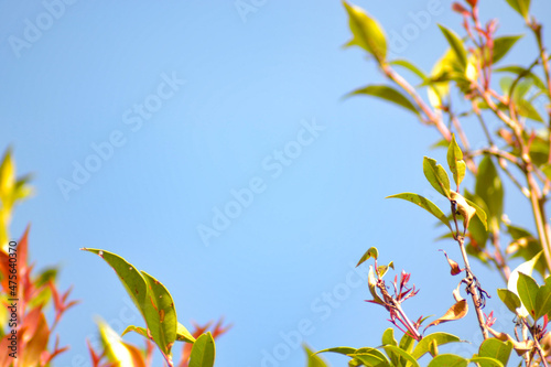 Fotografie Summer holiday concept with summertime fun and activities in the perfect travel
