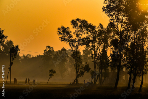 sunrise in the forest village © nafissadique