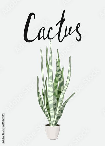 poster fresh green home decor art house plant cactus sansevieria in a pot